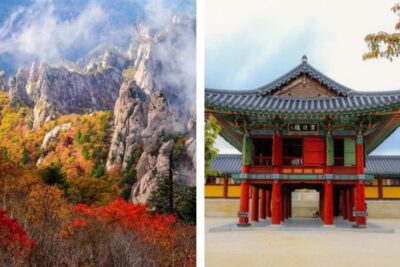 Mt. Seorak And Naksansa Temple Day Tour from Seoul