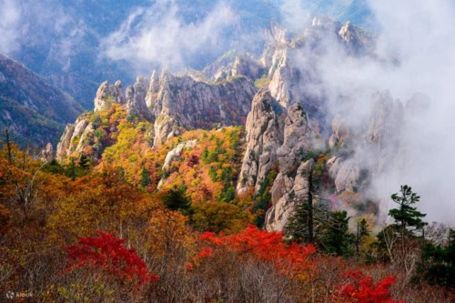 Tur Sehari Gunung Seorak & Kuil Naksansa dari Seoul