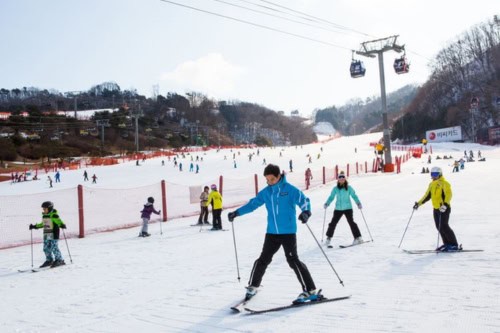 Tur Belajar Ski Satu Hari di Resor Ski Vivaldi Park.