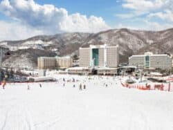 Vivaldi Park Ski Retreat