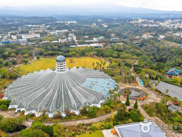 Yeomiji Botanical Garden, Jeju Island - one of the best bucket list for K-pop lovers