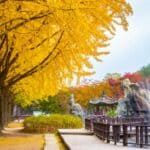 Nami Island: Things To Do & How To Get There