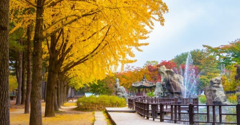 Nami Island: Things To Do & How To Get There