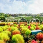 Everland Theme Park 에버랜드: Your Ultimate Adventure Awaits