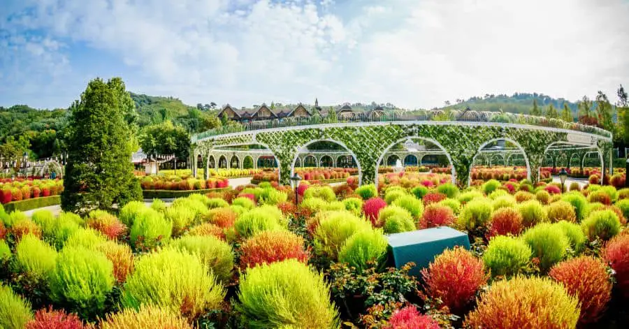 manèges populaires d'Everland