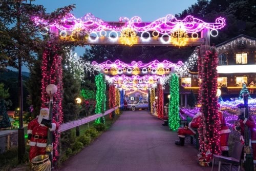 Pocheon Herb Island Lighting Festival 2023