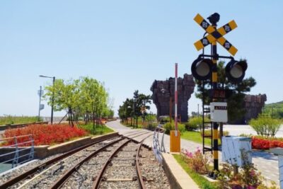 Ganghwa Cherry Blossom & Experience Day Tour