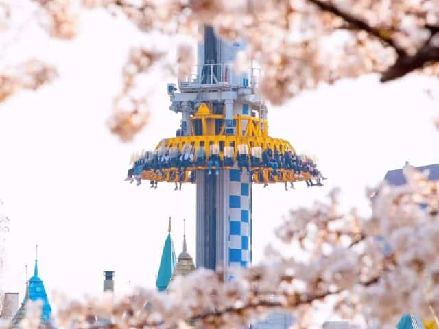 Bungee Drop at Lotte World