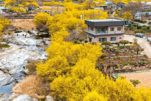 Tour en flor de Gwangyang desde Seúl / Busan