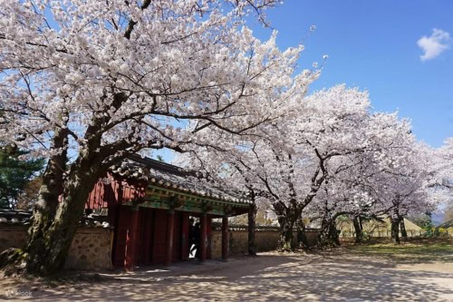 Gyeongju Historic Area 