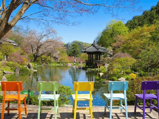 Pond garden
