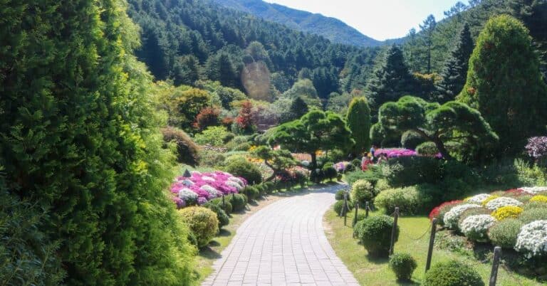 Garden of Morning Calm 아침고요수목원: Best Guide