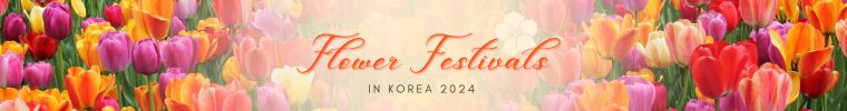 Cherry blossom & flower festivals in South Korea