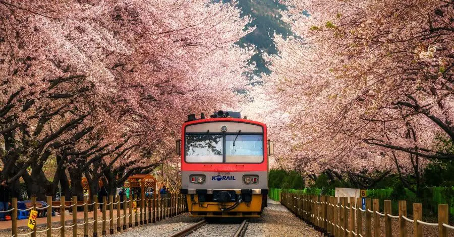 korail train