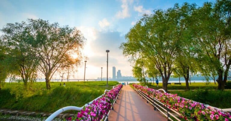 Best Things to Do at Banpo Hangang Park 반포 한강공원