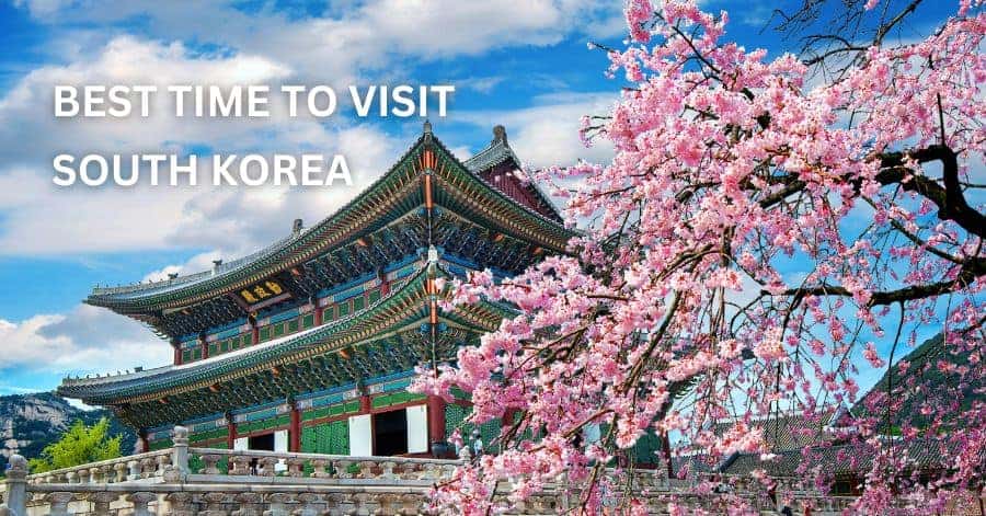 Best Time To Visit South Korea Featured Image