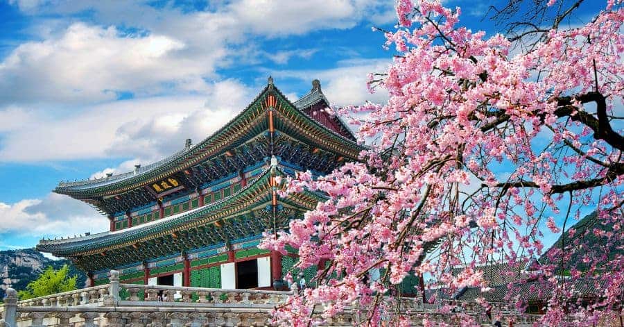 Spring Festivals in South Korea