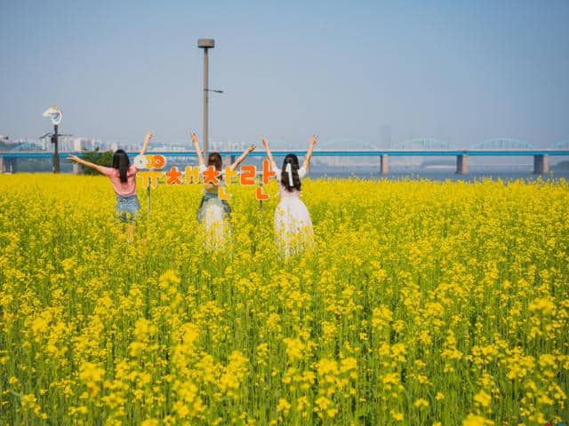 Seorae-seom-Banpo-Hangang-Park