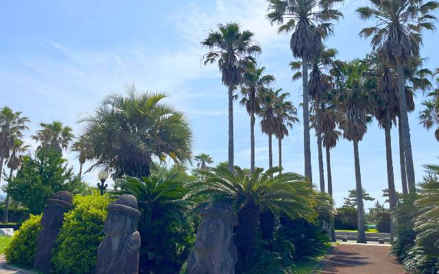 Costa de Jungmun Daepo Acantilado de Jusangjeolli 중문 대포 주상절리대 en la isla de Jeju