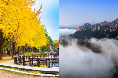 Excursiones de un día a la isla Nami y el monte Seorak desde Seúl