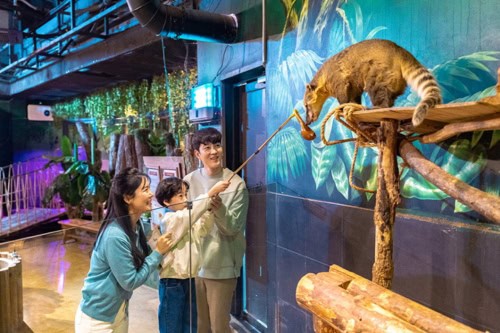 Entrada al parque temático de animales cubierto Zoolung Zoolung de Seúl