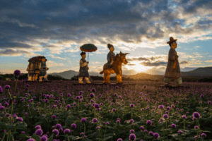Yangju Nari Park 양주 나리공원: Korea's Autumn Wonderland - IVisitKorea