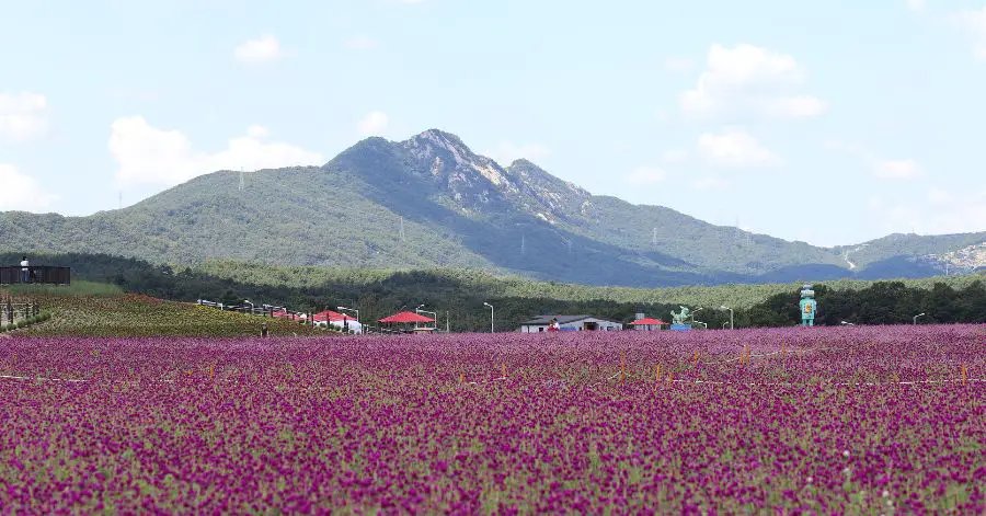 楊州ナリ公園