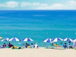 Pine-Scented Gangneung Tour