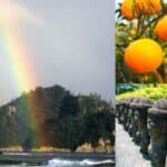 Things to Do in Jeju on a Rainy Day