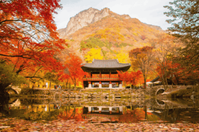 Naejangsan National Park Autumn Day Tours From Seoul