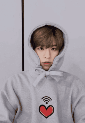 Sudadera con capucha con estampado de corazón gris | Seungmin – Stray Kids