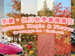 Gyeonggi-do Autumn Flowers Day Tour from Seoul