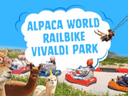 Alpaca World, Railbike & Vivaldi Park Experience Tour