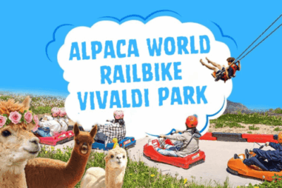 Alpaca World, Railbike & Vivaldi Park Experience Tour