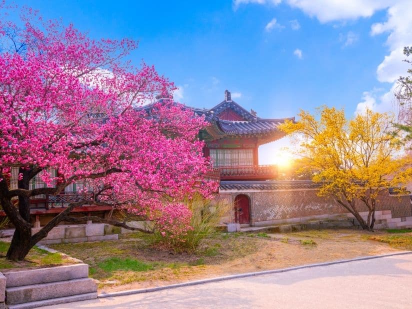 Wander the Secret Garden (Huwon) at Changdeokgung
