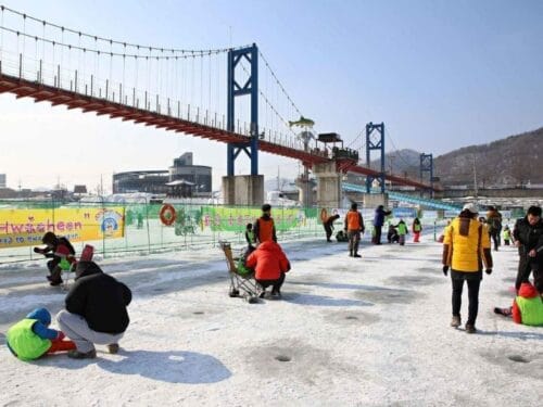 Hwacheon Sancheoneo Ice Festival