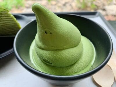 Taste & Tour Osulloc Tea Museum & Green Tea Fields