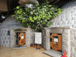 Dongdaemun SPAREX Jjimjilbang Sauna Admission Ticket
