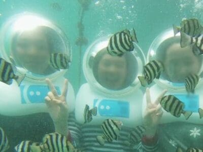 Dive into Jejuu2019s Waters with a HAMO Sea Walking Experience