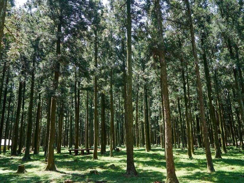 Jeju 5-Day Itinerary for Food & Nature Lovers, Solo