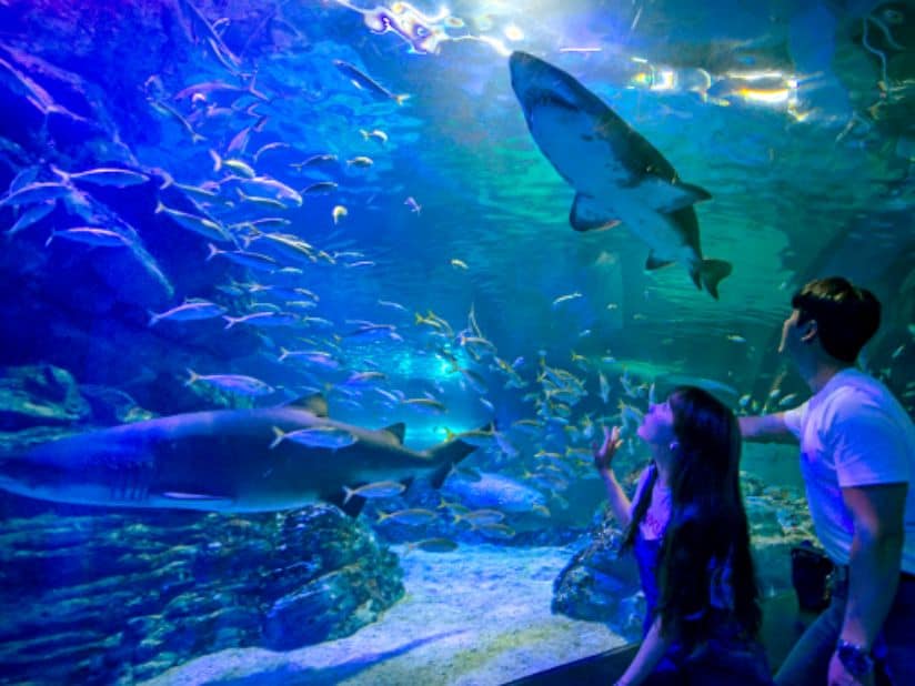 Packed 2-Day Busan Itinerary For Short On Time Visitors