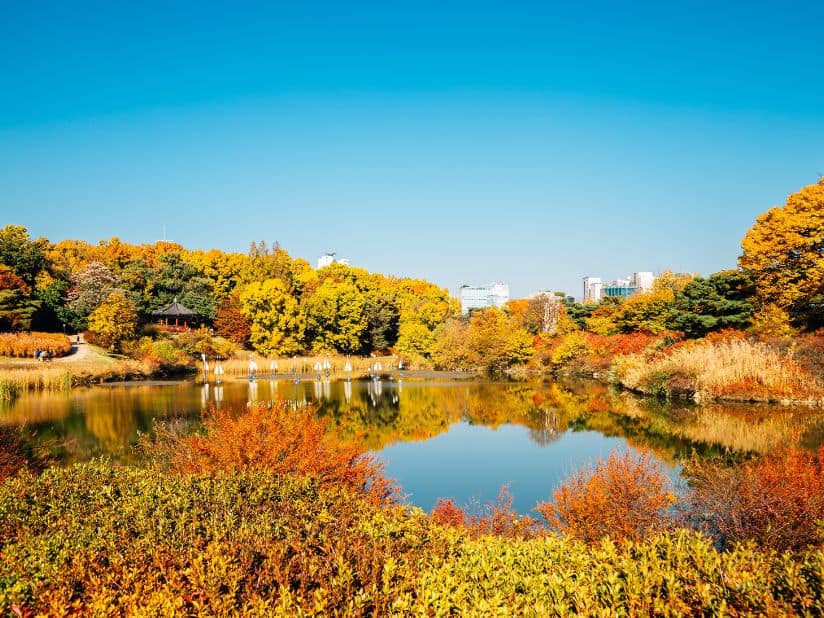 Seoul 5-Day Romantic Cherry Blossom Itinerary for Couples