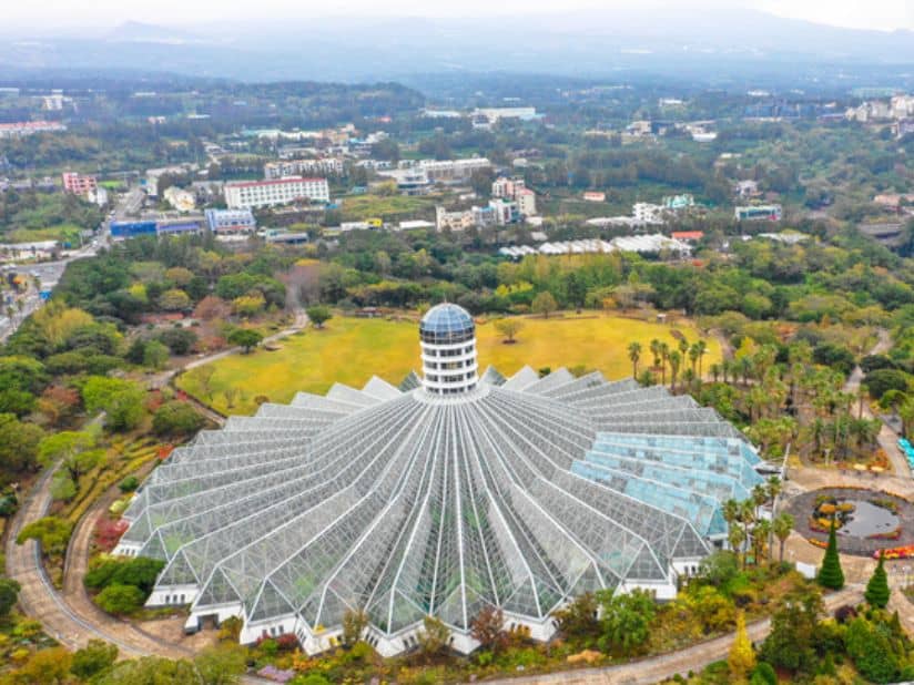 Marvel at Exotic Flora in Yeomiji Botanical Garden