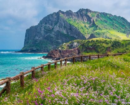 jeju Itinerary Showcase-Pick one and customize for your tip