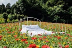 Coffee At BEECAVE (OH MY Girl YooA's Bon Voyage MV Location)