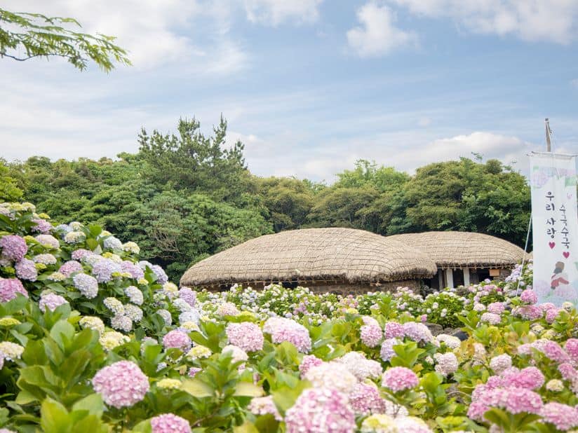 Explore Jeju Folk Village