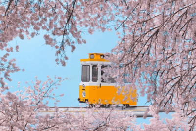 Busan