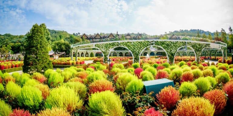Compare Everland Day Tours from Seoul