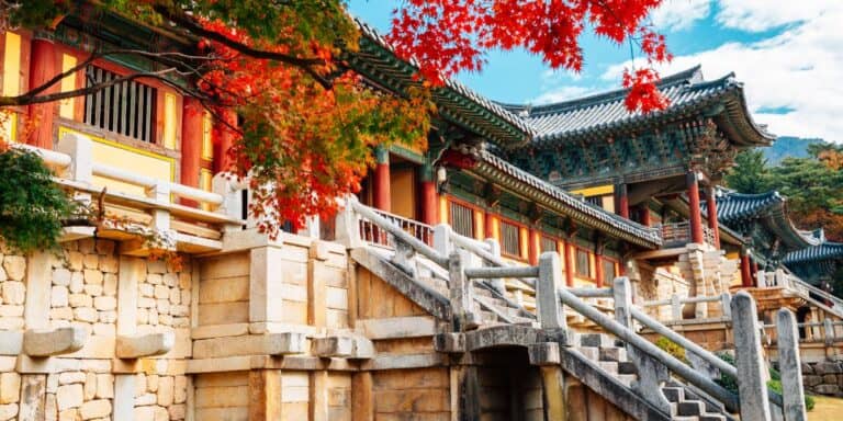 Gyeongju Day Tours from Busan