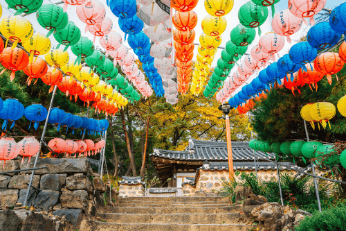Excursiones de un día a Gongju desde Seúl: Aventura en avioneta vs. Tour del patrimonio de Baekje - Imagen 4